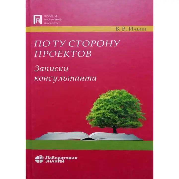 По той бік проектів. Записки консультантів