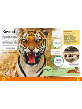 Детская энциклопедия животных