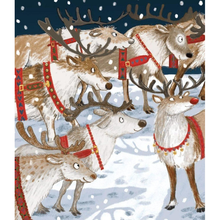 Красная одежда для маленькой птички. Джен Фернли