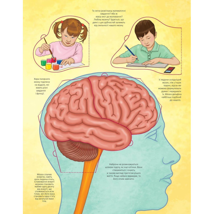 Интересно внутри. Твое тело. Элеонора Барзотти