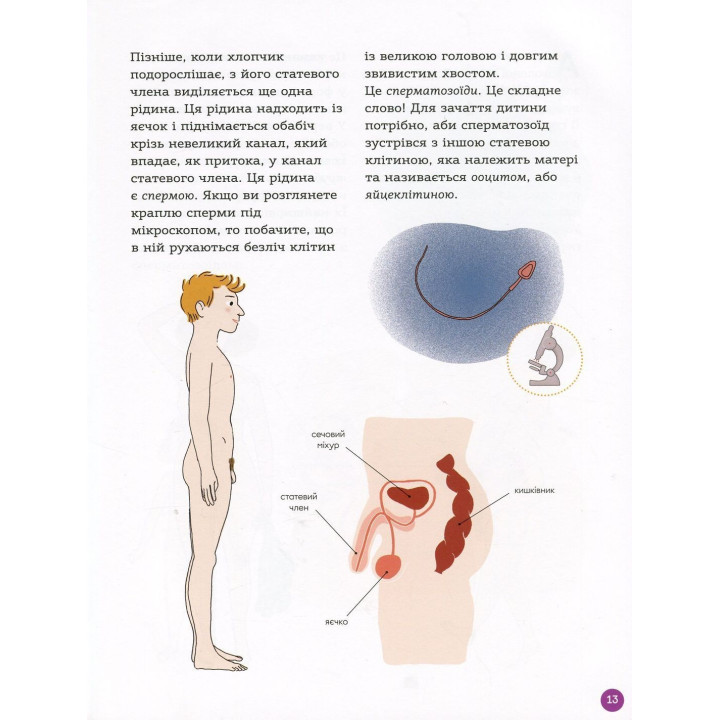 Энциклопедия половой жизни. 7-9 лет. Кристиан Верду, Жан Коэн, Жаклин Кан-Натан