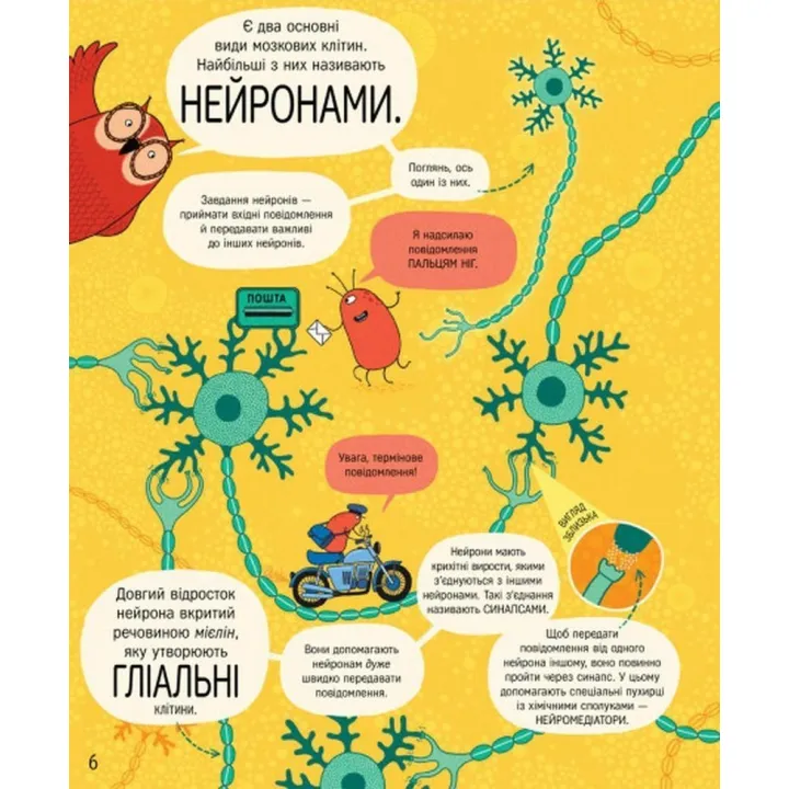 Книжка про мозок і те, як він працює. Бетіна Іп
