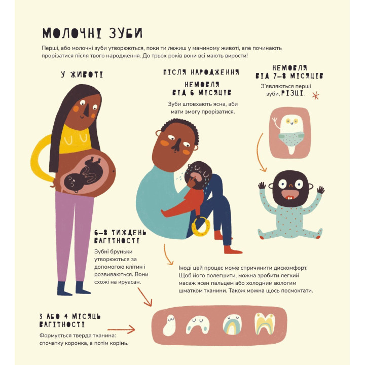 Книжка про зуби. Маріона Толоса Сістере