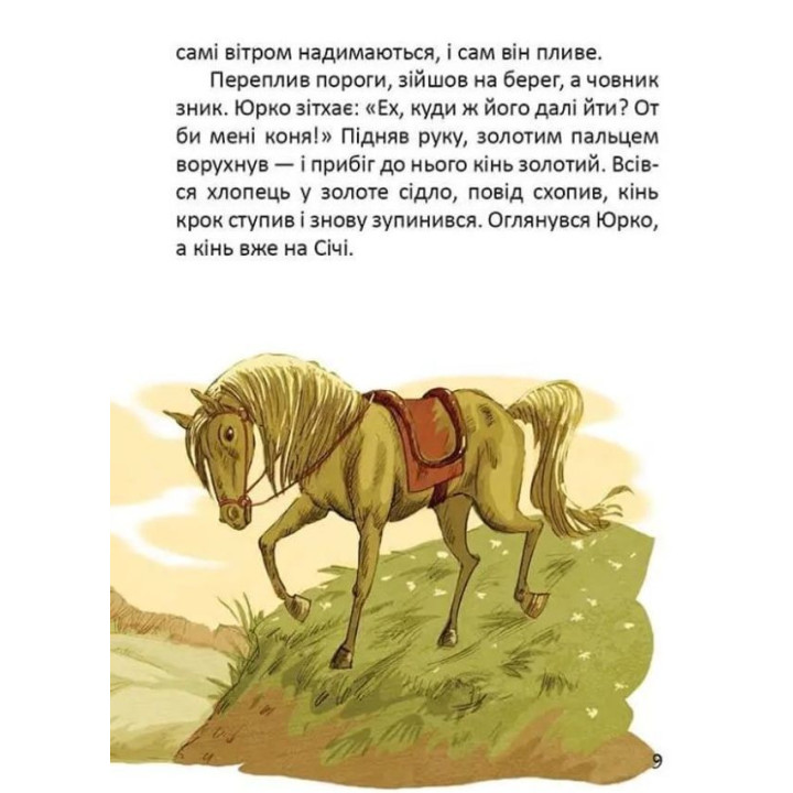 Легенди про козаків. Еліна Заржицька