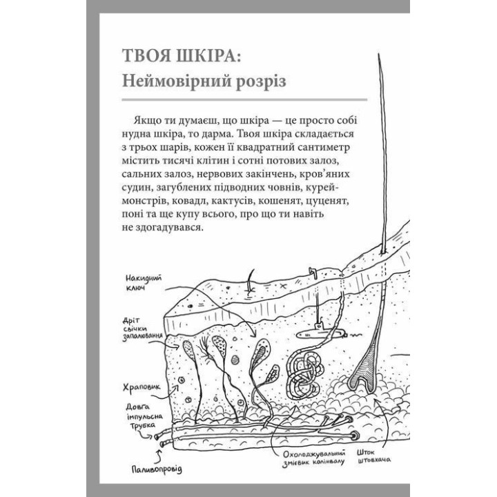 Что это за орган? Глупый справочник по анатомии твоего тела. Энди Гриффитс