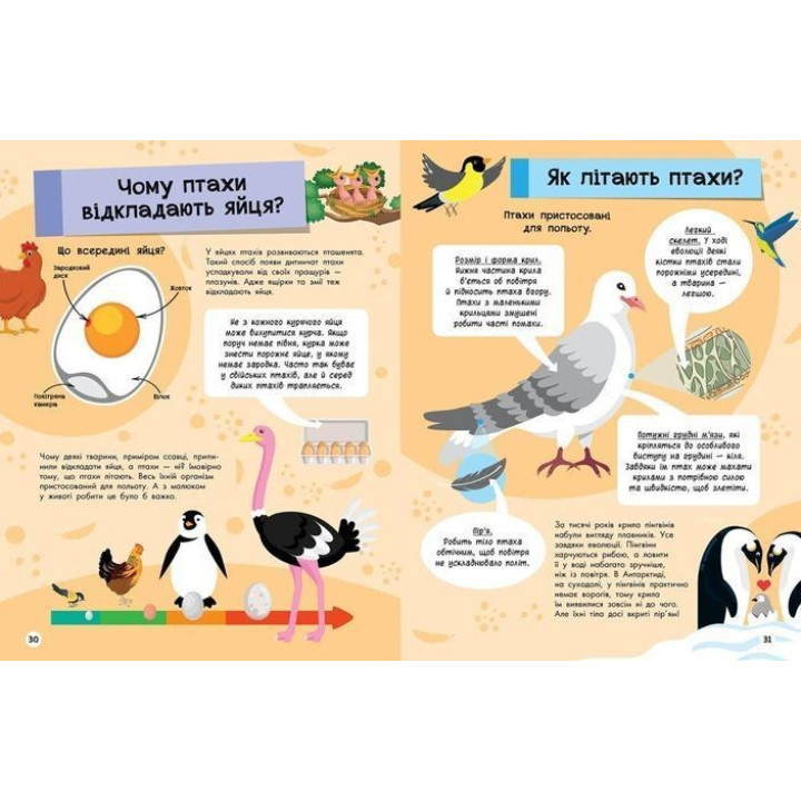 Велика енциклопедія для чомусика