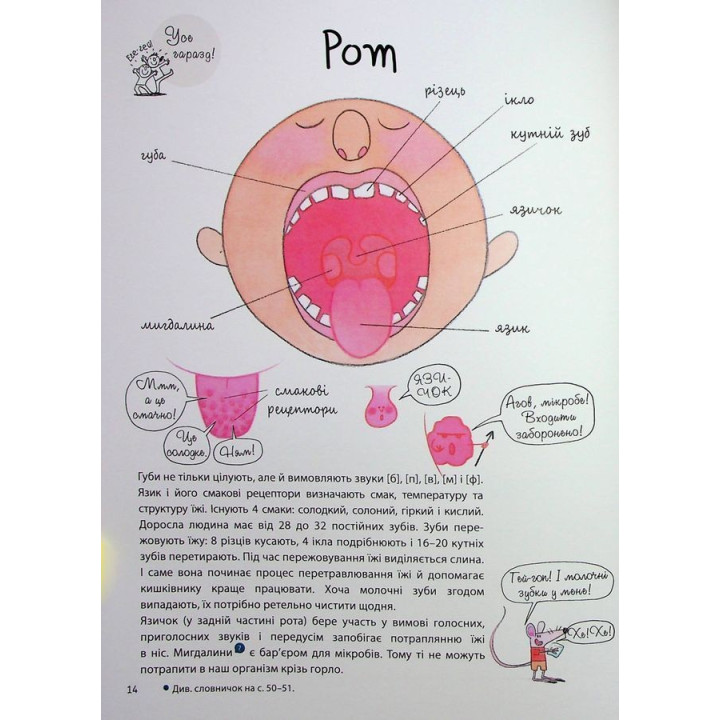 Як улаштоване моє тіло: книжка для дітей (і дорослих!). Мішель Сімс