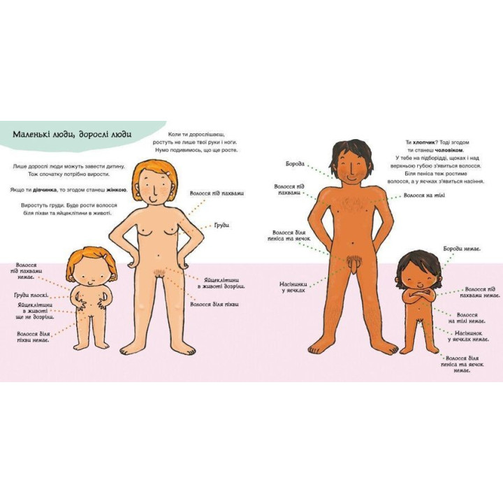 Звідки беруться діти. Пауліна Ауд