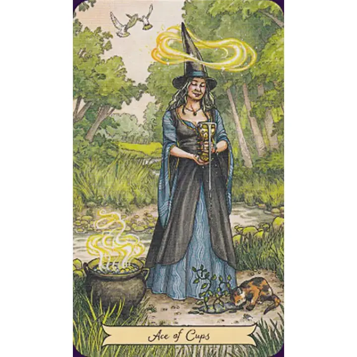 Everyday Witch Tarot (Таро повсякденної відьми). Набір: колода карт + книга. Elisabeth Alba, Deborah Blake