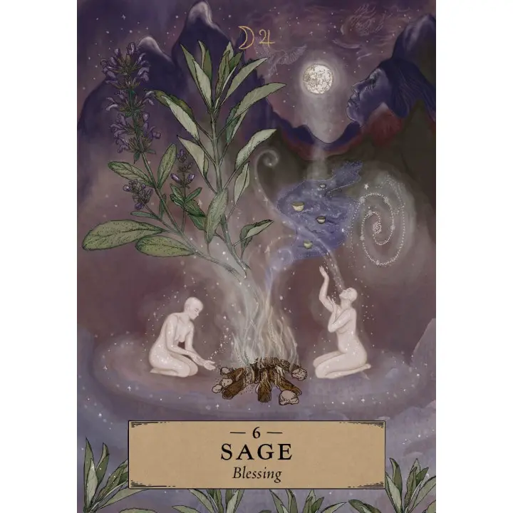 The Herbal Astrology Oracle (Оракул Трав'яної Астрології). Adriana Ayales(колода карт)