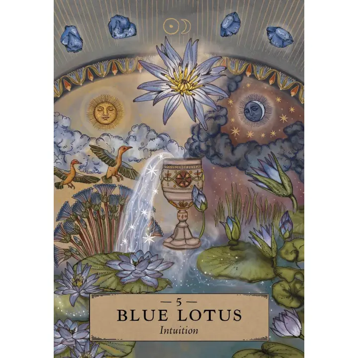 The Herbal Astrology Oracle (Оракул Трав'яної Астрології). Adriana Ayales(колода карт)