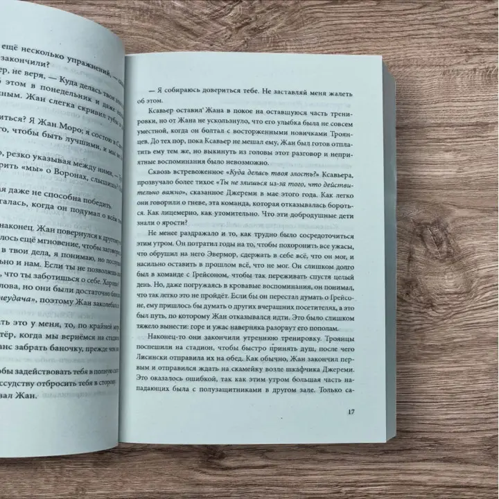 Золотий Ворон. Книга 5-та із серії «Все заради гри». Нора Сакавич