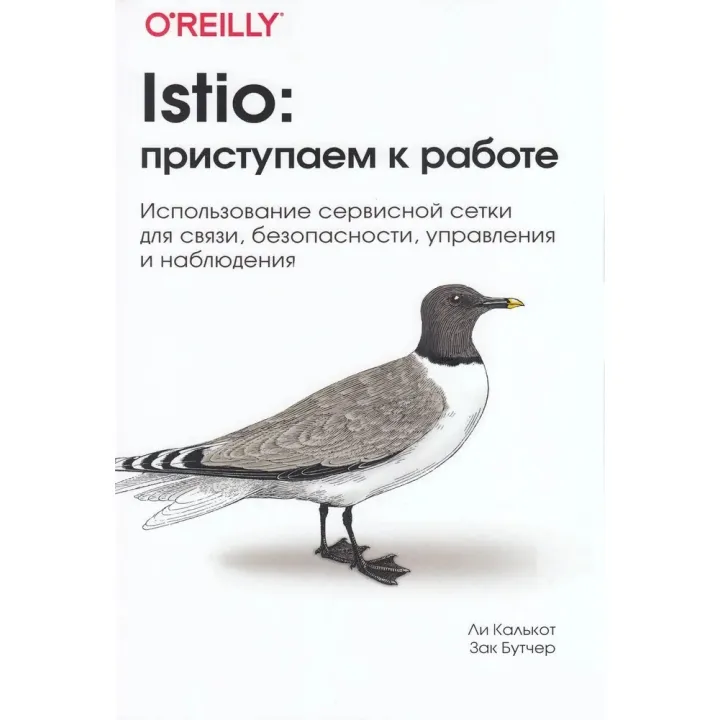 Istio: приступаем к работе. Ли Калькот, Зак Бутчер