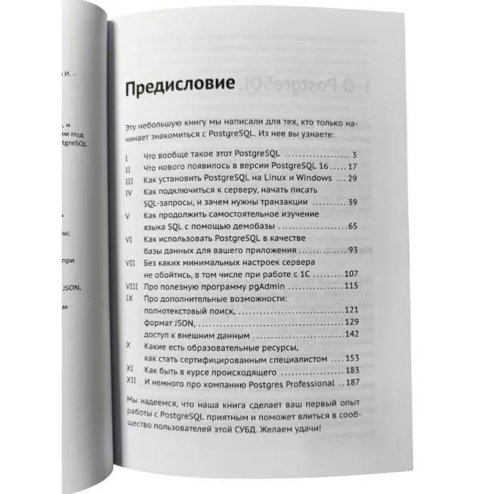 Postgres. Первое знакомство. Версия 16. Лузанов П., Рогов Е., Лёвшин И.