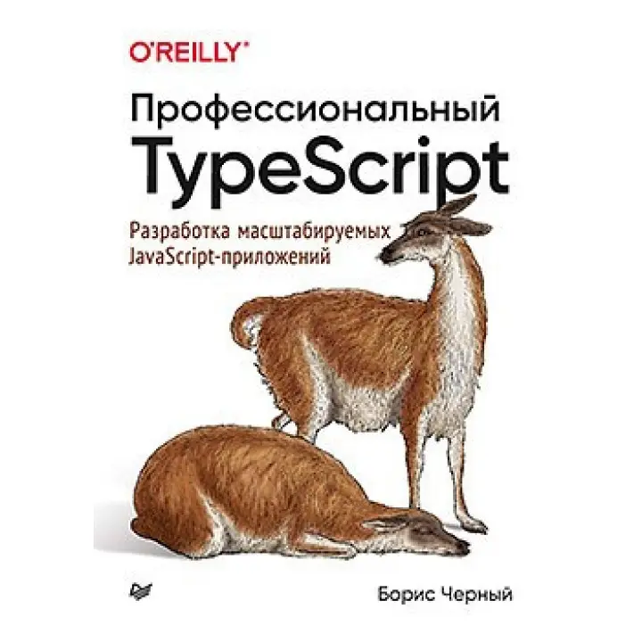 Професійний TypeScript. Розроблення масштабованих JavaScript-додатків. Борис Чорний