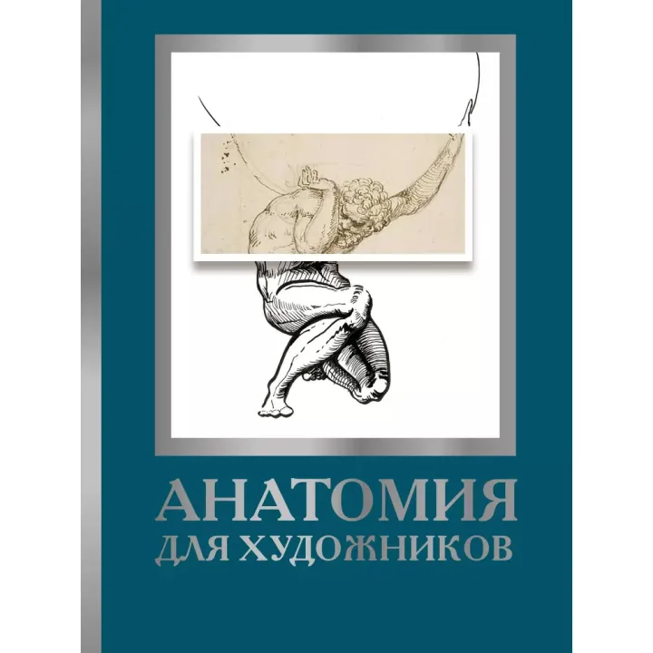 Анатомія для художників. Дженніфер Крауч