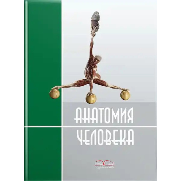 Анатомия человека. 2-е издание. Черкасов В.Г., Кравчук С.Ю.