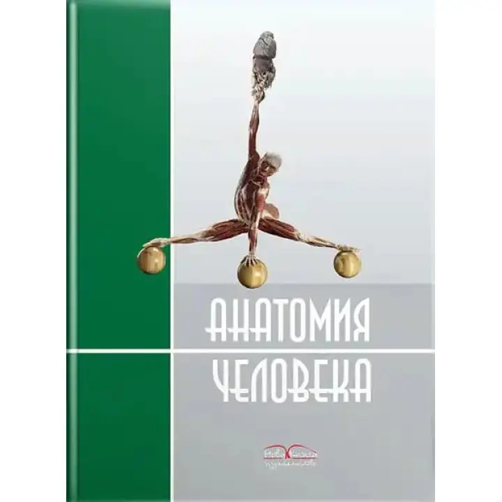 Анатомія людини. 2-ге видання. Черкасов В.Г., Кравчук С.Ю.