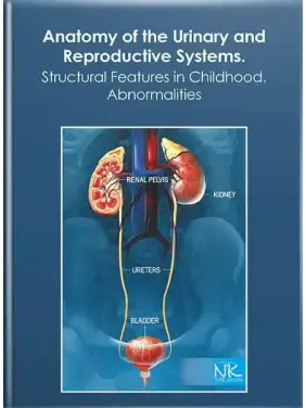 Anatomy of the Urinary and Reproductive Systems.Structural Features in Childhood. Abnormalities. Свінцицька Н. Л. та ін. Anatomy of the Urinary and Reproductive Systems.Structural Features in Childhood. Abnormalities. Свінцицька Н. Л. та ін.