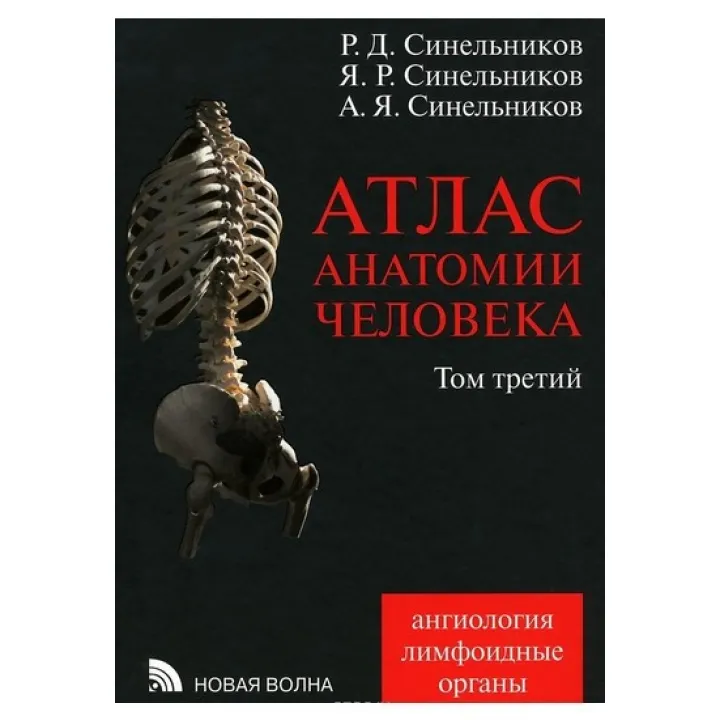 Атлас анатомии человека. В 4 томах. Том 3. Учение о сосудах и лимфоидных органах. Синельников А.Ф.