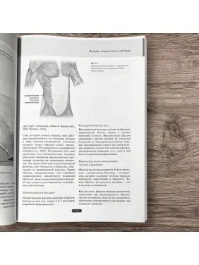 Fascia. Що це таке і чому це важливо. Девід Лесондак