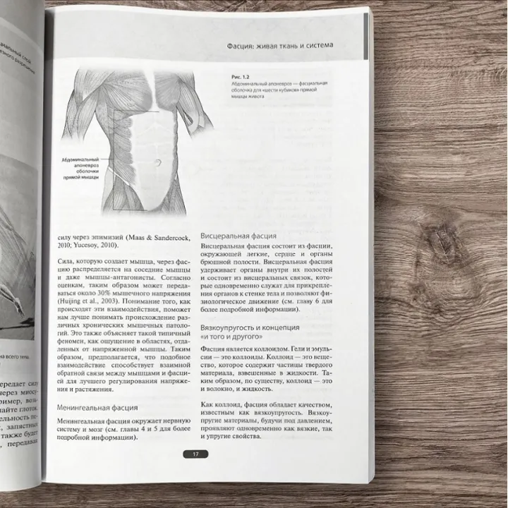 Fascia. Що це таке і чому це важливо. Девід Лесондак