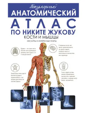 Популярний анатомічний атлас за Нікітою Жуковим: кістки та м'язи. Інсайти та цікаві факти. Жуков Микита