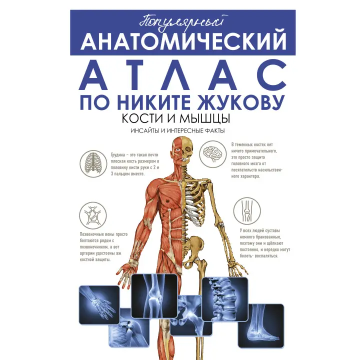 Популярний анатомічний атлас за Нікітою Жуковим: кістки та м'язи. Інсайти та цікаві факти. Жуков Микита