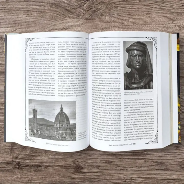 Міст через безодню. Вся історія мистецтва в одній книзі. Паола Волкова