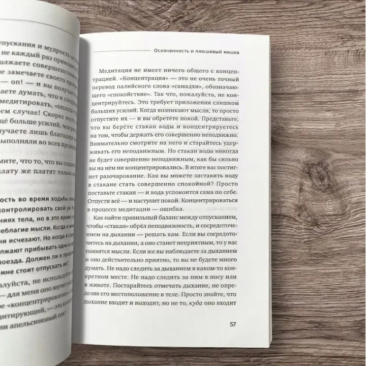 Усвідомленість і плюшевий ведмедик. Запитання і відповіді щодо приборкання твого дикого розуму. Аджан Брахм