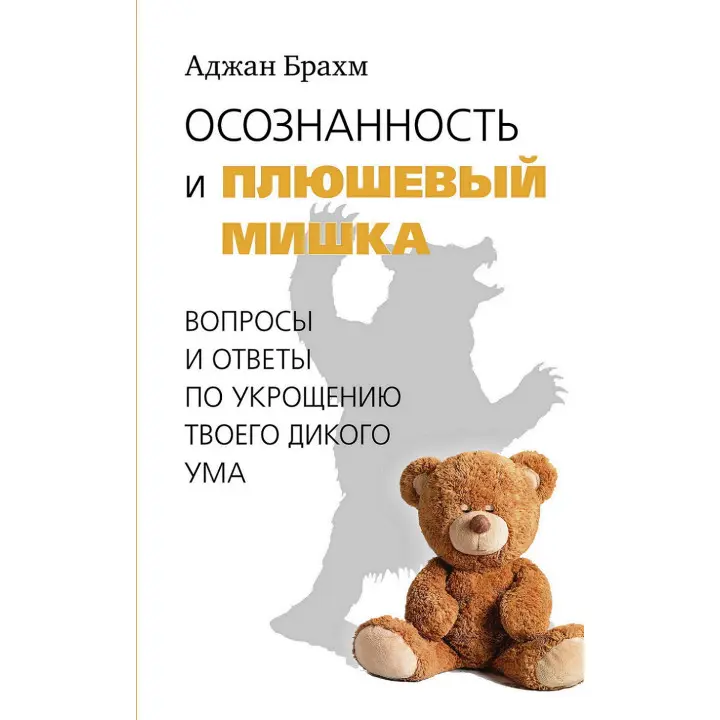 Усвідомленість і плюшевий ведмедик. Запитання і відповіді щодо приборкання твого дикого розуму. Аджан Брахм