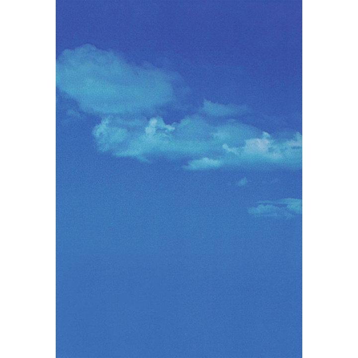 Исцеление травмы в поле глины. Сенсомоторный подход в арт-терапии. Корнелия Элбрехт