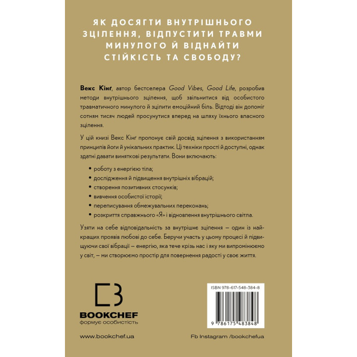 Healing Is the New High. Посібник із подолання емоційних потрясінь і здобуття свободи. Векс Кінґ