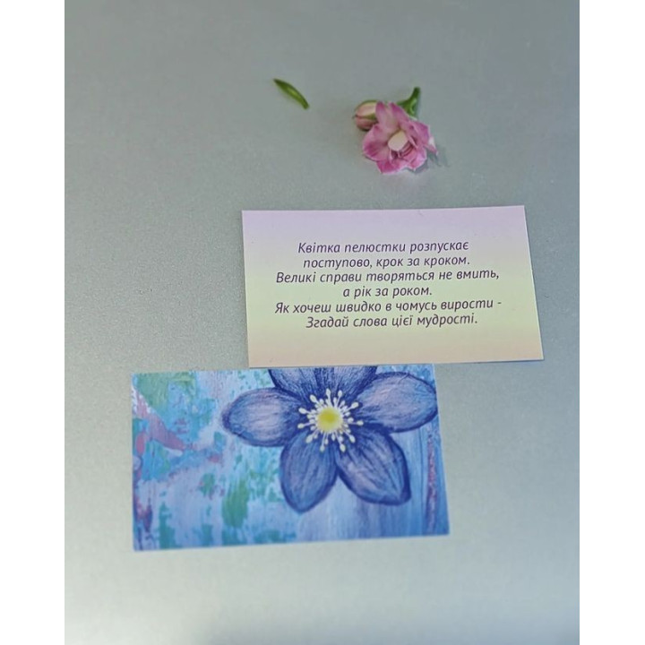 Метафорические карты «Удивительная Ты». Лилия Дутка