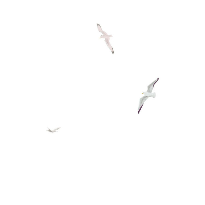 Листи з пошти на маяку. Таня Поставна