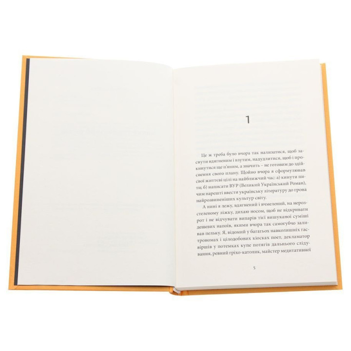 Малий український роман. Андрій Любка