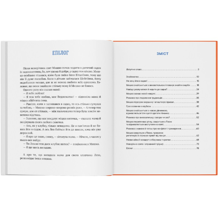 Історія хлопчика Мишка, який не хотів ходити в садок. Ольга Товпеко
