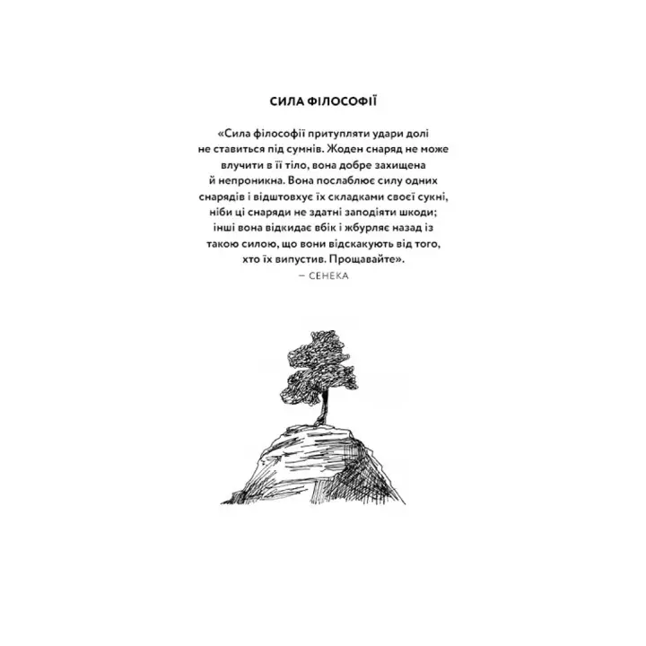 Маленька книга стоїцизму. Перевірена часом мудрість, що дарує стійкість, упевненість і спокій. Йонас Зальцґебер