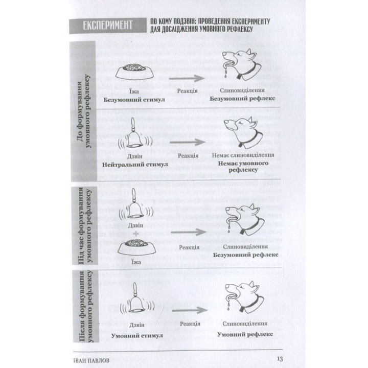 Психологія 101: Факти, теорія, статистика, тести й таке інше. Пол Клейнман