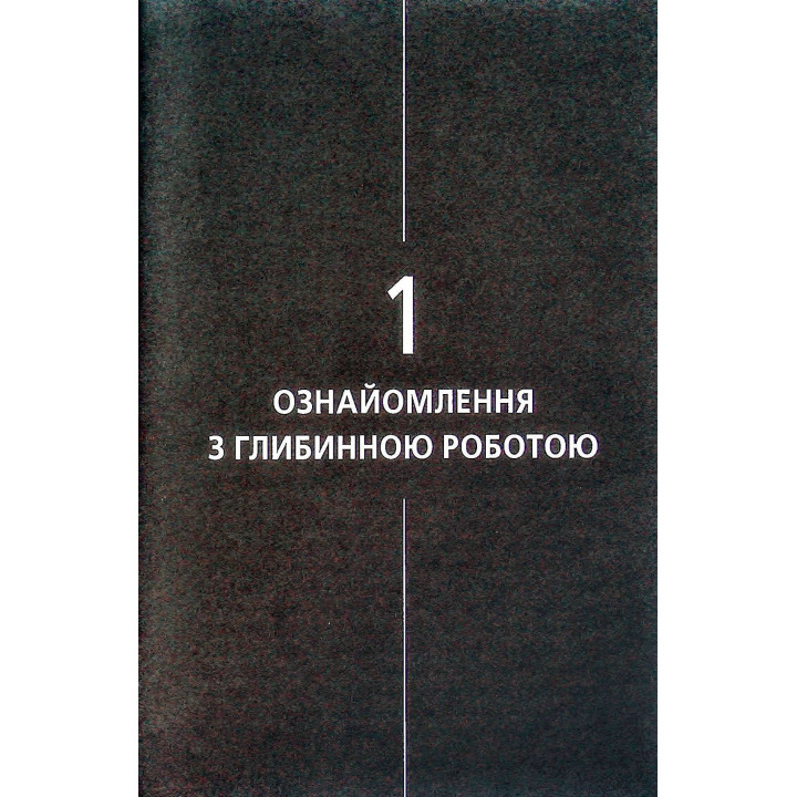 The Shadow Work Journal. Як прийняти себе та протистояти упередженням, що руйнують життя. Кейла Шахін