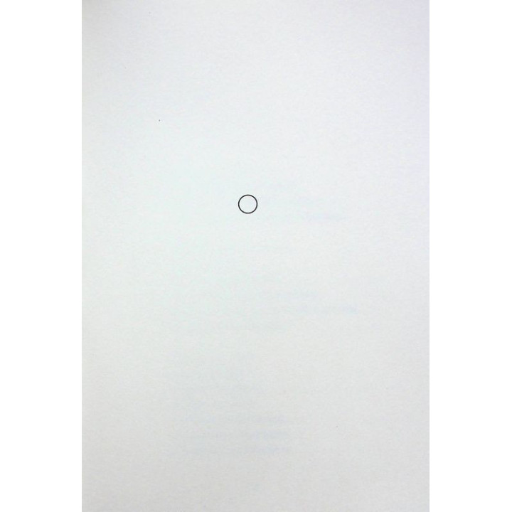 Творчий акт: спосіб буття. Рік Рубін