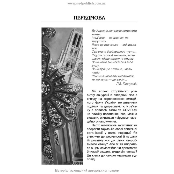 Депресія: Погляд психотерапевта. Валерій Ю. Юнак