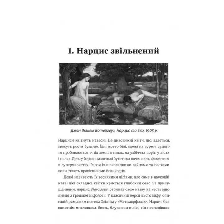 Нарцис у розквіті: Альтернативна історія селфі. Метт Кохун