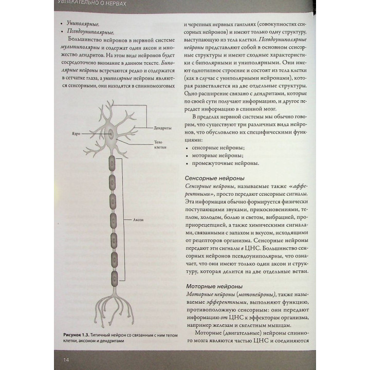 Увлекательно о нервах. Практическое пособие для физиотерапевтов. Джон Гіббонс