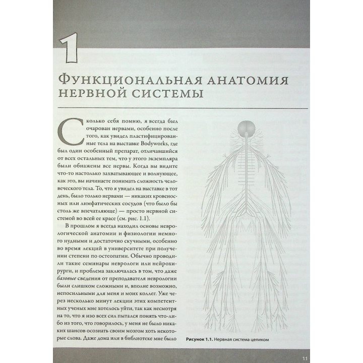 Увлекательно о нервах. Практическое пособие для физиотерапевтов. Джон Гіббонс