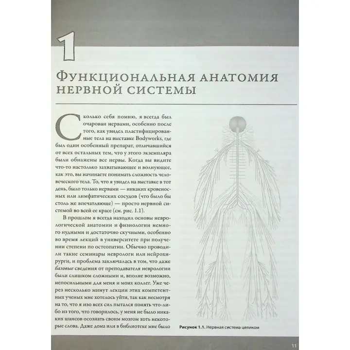 Увлекательно о нервах. Практическое пособие для физиотерапевтов. Джон Гіббонс