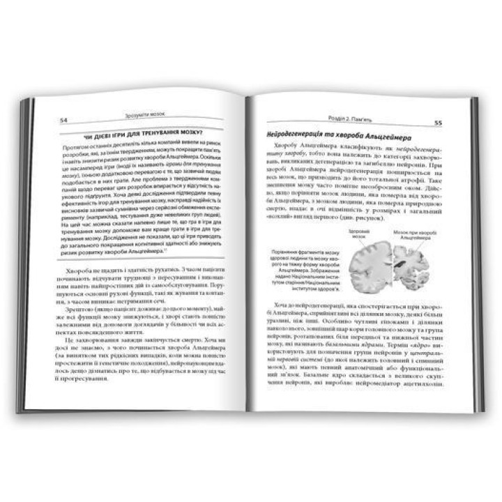 Зрозуміти мозок. Нейронаукові дослідження механізмів роботи мозку і його викрутасів. Марк Дінґман