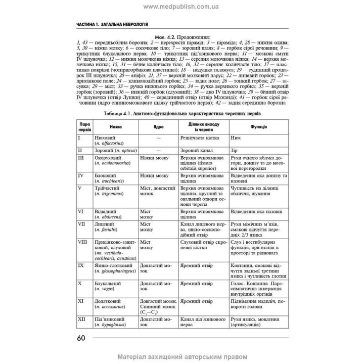 Неврологія: підручник. Ірина А. Григорова, Лариса І. Соколова, Роман Д. Герасимчук