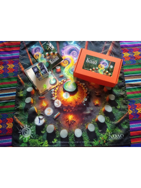 Трансформаційна соціальна гра «Коло Цінностей». Любов Купрієнко