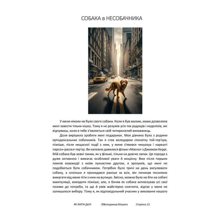 Як жити далі. Володимир Мішакін